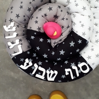 נחשוש וברווז - דו קיום