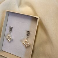 עגילי לוריאן