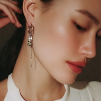 גספר מנומר פנינה כסף