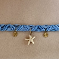 כוכב ים תכלת