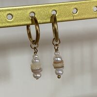 עגילי צדף פנינה