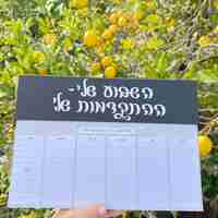 תכנון שבועי