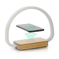 עמדת טעינה ותאורה