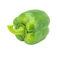 פלפל ירוק בהיר | לפי 1 קילו