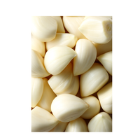 שיני שום קלופות | ארוז