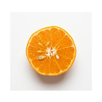 קלמנטינה אור | לפי 1 קילו