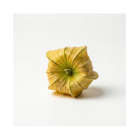 גולדן ברי | אריזה