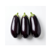 חציל | לפי 1 קילו