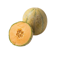 מלון שרנטה | לפי 1 קילו