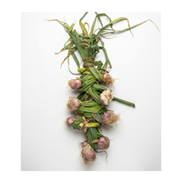 שום ירוק | לפי 1 קילו