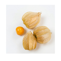 גולדן ברי | אריזה