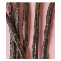 מקל וניל | 1 יחידה