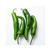 פלפל חריף ירוק | לפי 1 קילו