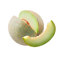 מלון גליה | לפי 1 קילו