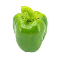 פלפל ירוק בהיר | לפי 1 קילו