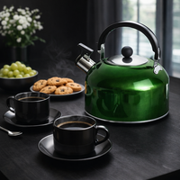 קומקום שורק קומפקטי נירוסטה בצבע ירוק