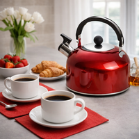 קומקום שורק קומפקטי מנירוסטה בצבע אדום