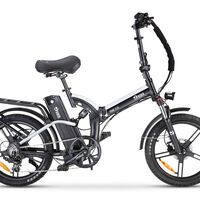 אופניים חשמליים ריידר פריים פלוס 48/16