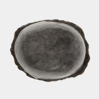 INS