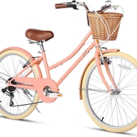 24 – VINTAGE אופניים