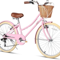 24 – VINTAGE אופניים