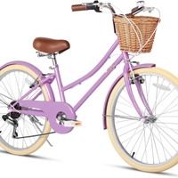 24 – VINTAGE אופניים