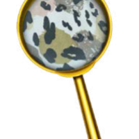 כיסוי ראש ללילה ורוד מנומר