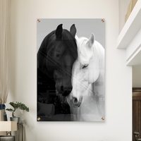 תמונת זכוכית של שני סוסים, אחד שחור ואחד לבן, מבטאים איזון והרמוניה בעיצוב יוקרתי מבית תכשיט לבית – NEXTGEN BY BAR.