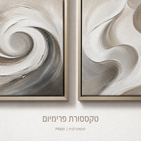 זוג תמונות קנבס פרימיום מערבולות ספירליות לבן-אפור-בז' מרובע