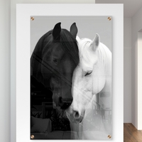 תמונת זכוכית של שני סוסים, אחד שחור ואחד לבן, מבטאים איזון והרמוניה בעיצוב יוקרתי מבית תכשיט לבית – NEXTGEN BY BAR.