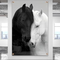 תמונת זכוכית של שני סוסים, אחד שחור ואחד לבן, מבטאים איזון והרמוניה בעיצוב יוקרתי מבית תכשיט לבית – NEXTGEN BY BAR.