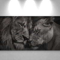 תמונת זכוכית לרוחב של זוג אריות עם ראשיהם צמודים ברגע אינטימי, בעיצוב מונוכרומטי יוקרתי – NEXTGEN BY BAR.