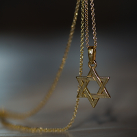 שרשרת תליון מגן דוד