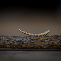 עגיל מטפס יהלומים לבנים