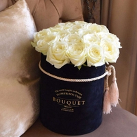 Beauty Hatbox