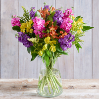 6 Months of Seasonal Flowers