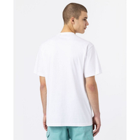 Dickies - טי שירט Mount Vista