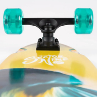 Sector 9 - לונגבורד במידה 34.5