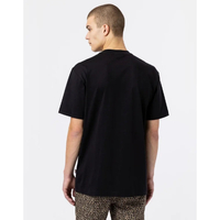 Dickies - טי שירט Mount Vista