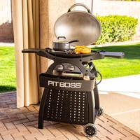גריל גז 2 מבערים עם עגלה - SPORTSMAN 2 GRILL WITH CART