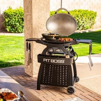 גריל גז 2 מבערים עם עגלה - SPORTSMAN 2 GRILL WITH CART