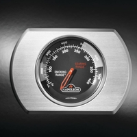 גריל גז Napoleon ROGUE RSB425 IL שחור עם שיפוד רוטיסרי | מבער אחורי וכירת צד