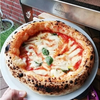 Pizza Party Ardore טאבון גז מקצועי לפיצה