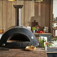 טאבון ALFA MODERNO 1 גז
