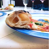 Pizza Party Ardore טאבון גז מקצועי לפיצה