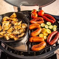 גריל גז 2 מבערים עם עגלה - SPORTSMAN 2 GRILL WITH CART
