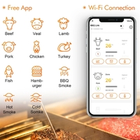 מד חום 4 פרובים WIFI