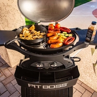 גריל גז 2 מבערים עם עגלה - SPORTSMAN 2 GRILL WITH CART