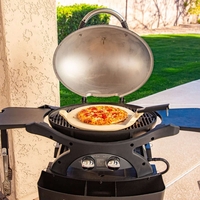 גריל גז 2 מבערים עם עגלה - SPORTSMAN 2 GRILL WITH CART