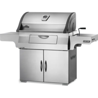 גריל פחמים מקצועי מנירוסטה – CHARCOAL PROFESSIONAL IL